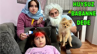 ZEYNEP HİRANUR HASTA HUYSUZ BABANNE DEDE GELMİŞ YANDIK !!(pomeranian)