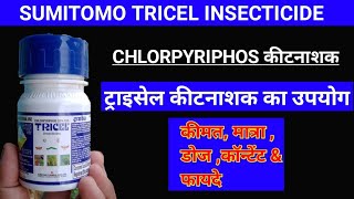 Sumitomo tricel insecticide|| chlorpyriphos 20% ec ||full information||