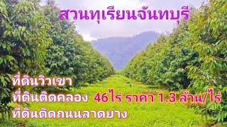 EP389.สวนทุเรียนจันทบุรี 46ไร่ ที่ดินวิวเขา ที่ดินติดถนนลาดยาง สนใจติดต่อ 0981473498,0887902134