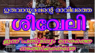 ഗുരുവായൂർ ക്ഷേത്രം പ്രഭാത കാഴ്ച്ചകൾ | 12/02/2022 | Guruvayur Temple Morning Shiveli