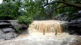 Beeman falls | jawadhu hills|பீமன் அருவி|ஜவ்வாதுமலை