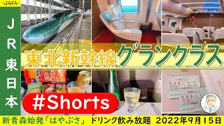 【JR東日本】東北新幹線「グランクラス」ドリンク飲み放題その他いろいろ豪華だった座席　2022年9月15日　#Shorts