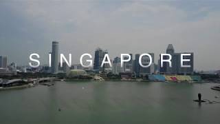 Walking With Singapore: Road to 2011