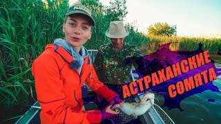 Астрахань. Сокровище дельты. Часть 3. Сомята.