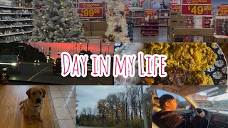 Day In My Lifeee 🍁✨ | Door Dash and Instacart | Canada | Amrita Vlogs