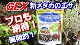 面白いメダカのエサを買った！ビオトープでエサやり！【軽ﾄﾗ･ﾋﾞｵﾄｰﾌﾟ⑪】