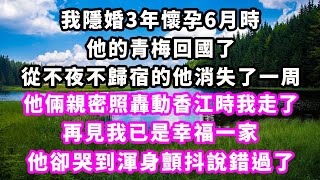 我隱婚3年懷孕6月時，他的青梅回國了，從不夜不歸宿的他消失了一周，他倆親密照轟動香江時我走了，再見我已是幸福一家，他卻哭到渾身顫抖說錯過了#爽文完結#一口氣看完#小三#豪門#霸總