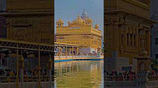 New Short Video Golden Temple Amritsar Shib Punjab #trending #shorts #short #reels