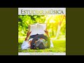 Música de fondo para estudiar y leer - Musica para leer