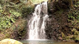 小ぶりな滝のマイナスイオン(Small waterfall  Negative ions)