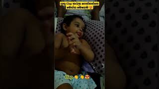 පුංචි පුතු Clap කරලා පෙන්නන විදිය 😍 | #baby #babyboy #babyshorts #kevon #mom