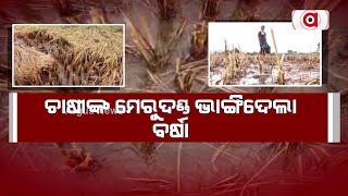 Unseasonal Rain Damages Paddy Crop In Berhampur, Farmers Face Untold Problem