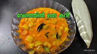 1 കഷ്ണം പടവലങ്ങ കൊണ്ട് മുളകൂഷ്യം റഡി/PADAVALANGA MULAKOOSHYAM