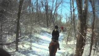 2011 Winter Fox Hunting with Battle Creek Hunt