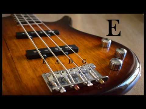 Bass Standard Tuning 🎶 - YouTube