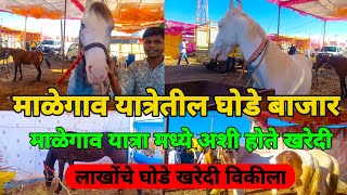 मालेगाव घोडे बाजार | Malegaon Ghode Bazar 2025 | malegaon yatra | horse market