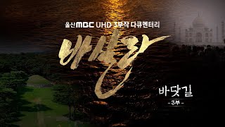 [보도특집 다큐멘터리] 바실라 3부 I 바닷길 (2024.12.12/울산MBC)