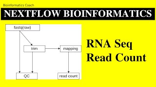 Nextflow Tutorial for RNA Seq Analysis | Bionformatics Nextflow