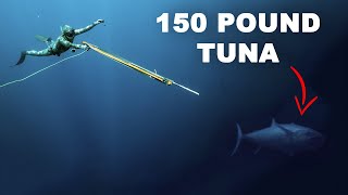 I Speared A GIANT Dogtooth Tuna...(92 ft. deep)