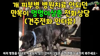 #7 병원다녀도 치료안되던 개피부병 강아지피부병 관리