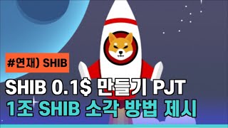 시바이누 0.1$ 만들기 프로젝트 - 1조 SHIB 소각 방법 제시