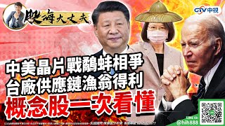 中美晶片戰鷸蚌相爭 台廠供應鏈漁翁得利 概念股一次看懂｜20230426｜陳建誠 分析師｜股海大丈夫｜中視