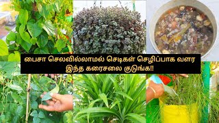 பைசா செலவில்லாமல்  செடிகள் தாறுமாறா வளர, விளைச்சலை அதிகரிக்க உதவும் மேஜிக் உரம்