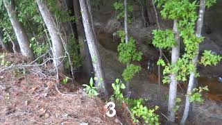 Unnamed Tributary 5 - Along city-county line - 5 Nov 2021