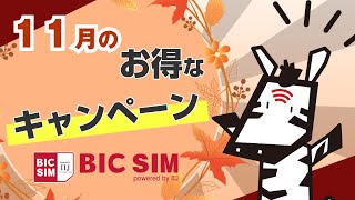 【BIC SIM】2024年11月BIC SIMキャンペーン