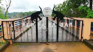 Peppara Dam (Peppara Wildlife Sanctuary)