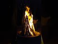 campfire at greenwoods resort thekkady shorts