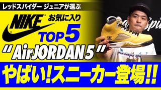 ヤバイ！スニーカー登場！Air Jordan 5 Top5 [スニーカー紹介]