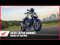 New 2025 CB750 Hornet: Shake up the hive | Street Motorcycle | Honda