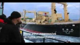 Live Free - A Production for Sea Shepherd