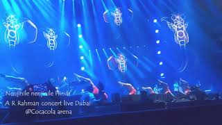 Nenjinile Nenjinile Hindi A R Rahman concert live Dubai @Cocacola arena