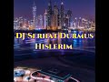 DJ TERBARU SERHAT DURMUS || HISLERIM || TIKTOK 2021