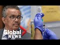 Coronavirus: WHO gives update on COVID-19 vaccine trials as global cases pass 20 million | FULL