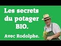 Les secrets du potager BIO.le jardin de Rodolphe