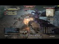 ddon vs ヤング・グリフィン dragon s dogma online ddon