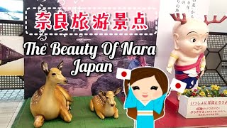 日本旅游打卡景点 | 奈良公园 | 兴福寺 | 春日大社 | 东大寺 | The Beauty Of Nara Japan | Travel Video | 鹿 Deer