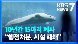 잇단 폐사 ‘돌고래 무덤’ 거제씨월드 폐쇄 논란 / KBS  2024.09.12.