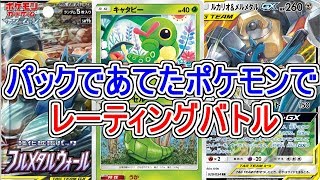 ポケカであてたポケモンでパーティを組んでみた【フルメタルウォール編 ポケモンUSUM】