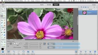 Photoshop Elements 11 Tutorial | The Magical Magnetic Lasso Tool