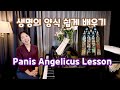 생명의 양식 (Panis Angelicus) 쉽게 배우기ㅣ따라부르다보면 라틴어를 하고 있는 자신을 보고 깜짝 놀라게 될 영상