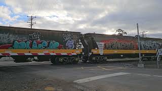 7731V PN empty grain to Murtoa Siding VIC, 16.00, 22/6/24, Ararat West VIC