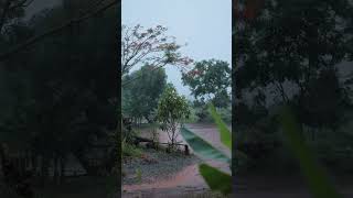 Raining | ភ្លៀងធ្លាក់នៅអារ៉ែង​ #camping #rain #travel #vlog #raining