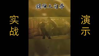 格斗技术详解 - 终极格斗之 猴神上钩拳 (Hanuman)！ 3D解密+实战示例!