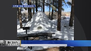 Want To Get Away For Some Winter Camping? Reserve An Igloo!