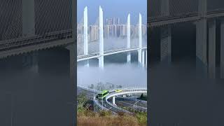 Chongqing's Multi-Storey Road Bridge Transforms into a Cloudy Wonderland! ☁️🌉✨仙境？云雾缭绕的重庆！