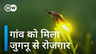 भारत का ये गांव जुगनुओं को बचा रहा है [Biodiversity: Protecting fireflies in Maharashtra]